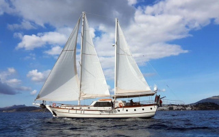 ELFIM 11 13