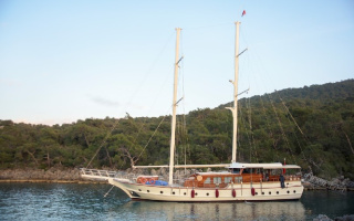 PINA 12