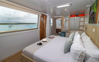 GALAPAGOS ANGEL 8