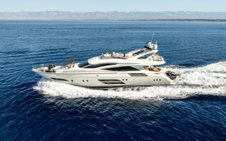 DALIA 26