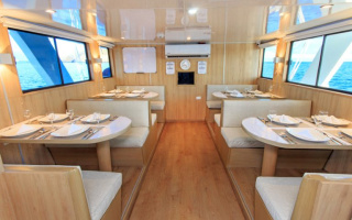 PINGUINO EXPLORER 7