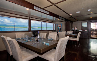 SEA STAR 6