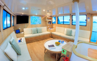 PINGUINO EXPLORER 9
