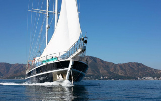 SARAYLI 1 2