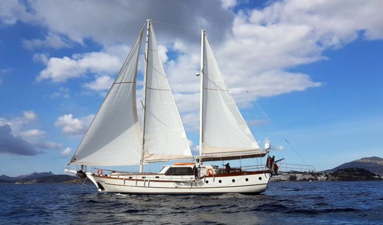 ELFIM 11