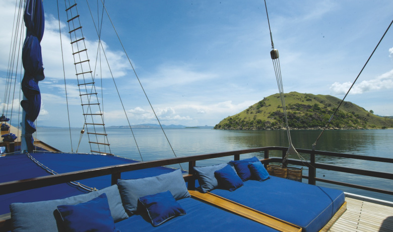 OCEAN PURE 1