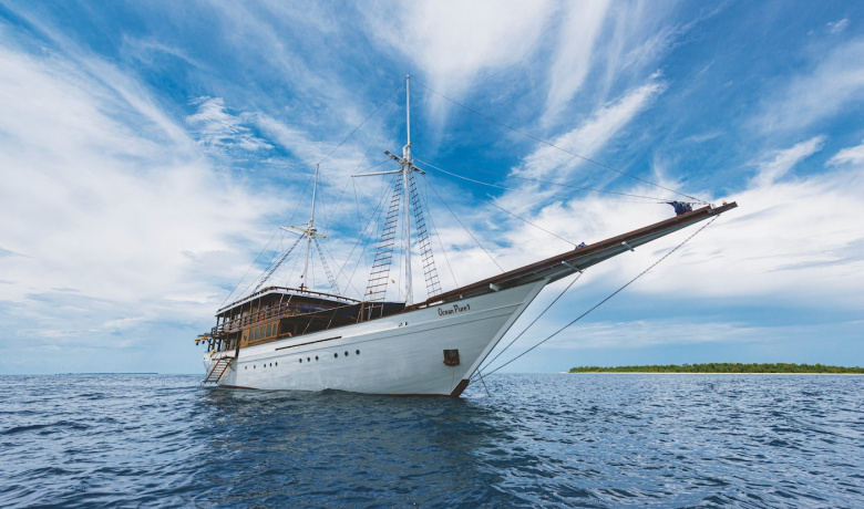 OCEAN PURE 1