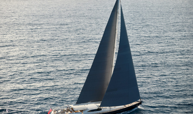 GUILLEMOT
