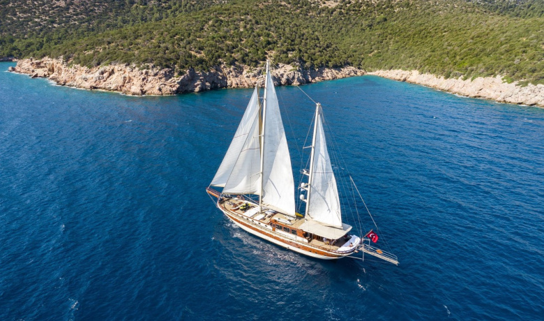 ESTRELLA DE MAR