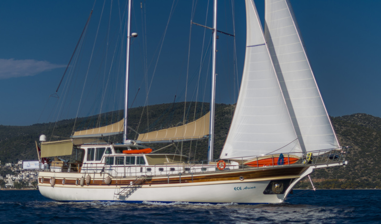 ECE ARINA