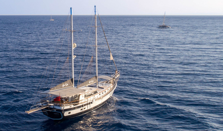 GRAND SAILOR
