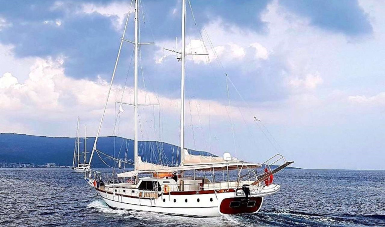ELFIM 11