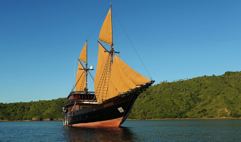 ALILA PURNAMA